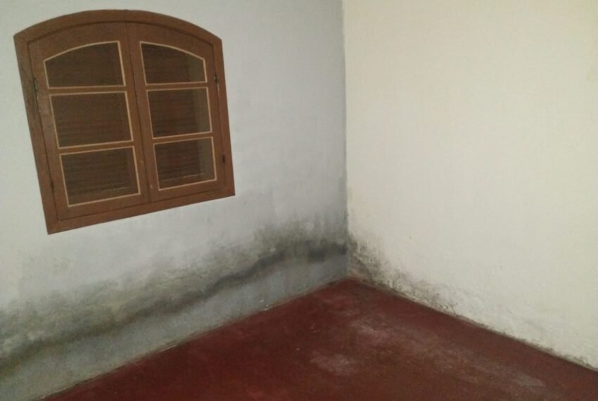 WhatsApp Image 2025-05-17 at 09.33.57