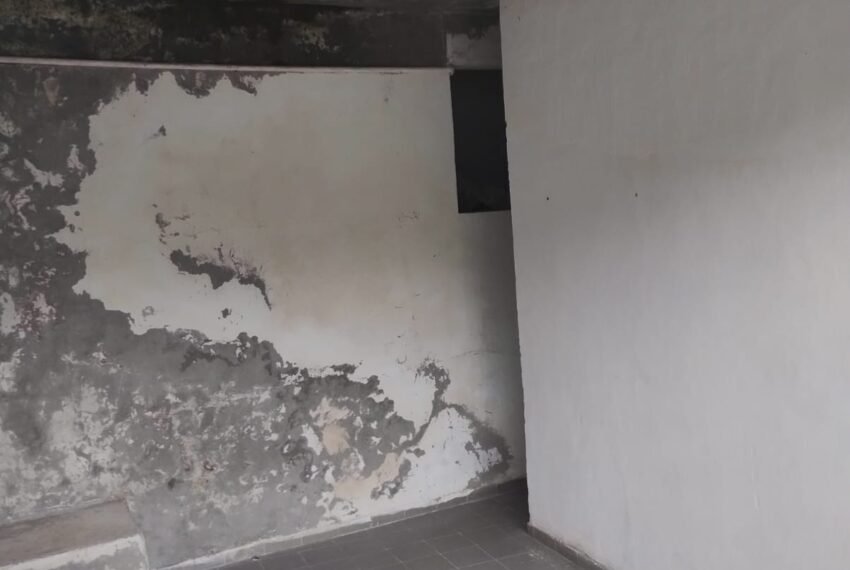 WhatsApp Image 2025-11-07 at 14.31.27 (1)