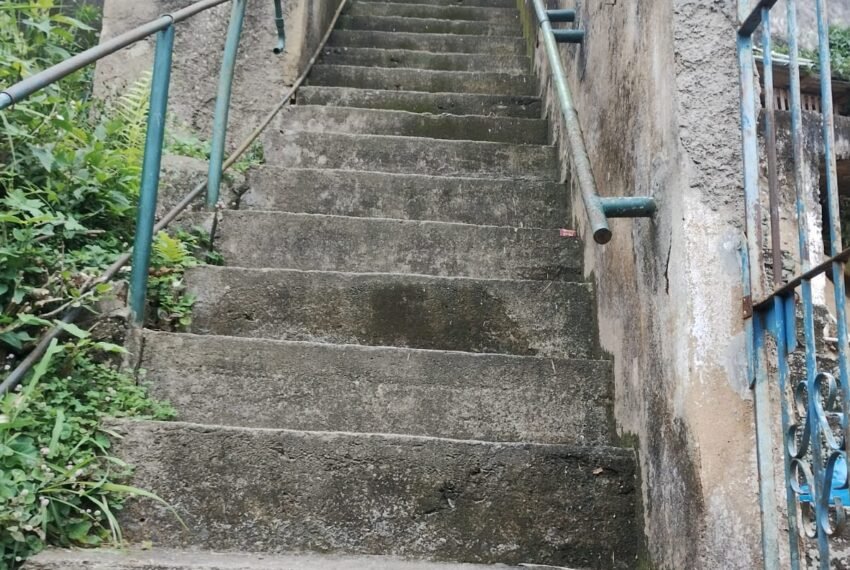 WhatsApp Image 2025-11-07 at 14.31.27 (3)