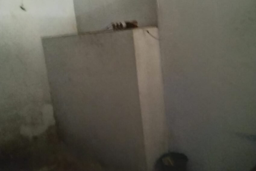 WhatsApp Image 2025-11-26 at 10.57.16 (1)