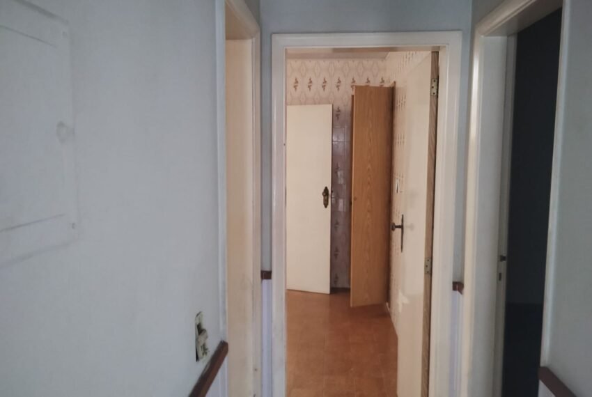 WhatsApp Image 2026-03-07 at 11.09.44